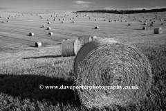Harvest Bales on the Sussex Downs