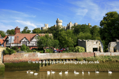 Swans on the river Arun, Arundel Castle