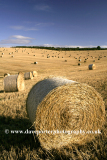 Harvest Bales on the Sussex Downs