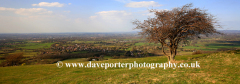 View to Hassocks town from the Ditchling Beacon