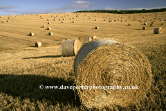 Harvest Straw Bales, river Adur valley, Lancing village
