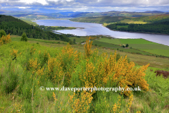 View over Dornoch Firth; Highlands of Scotland