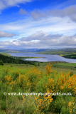 View over Dornoch Firth; Highlands of Scotland