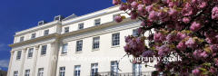 Spring blossom and architecture, Leamington Spa