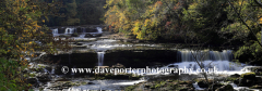 Autumn, Aysgarth Falls; River Ure; Wensleydale