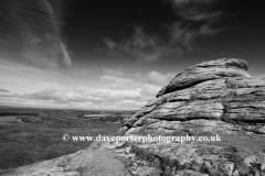 Summer, Haytor Down, Haytor Rocks, Dartmoor