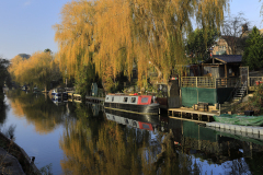 Narrowboats on the river Nene, March town