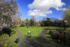 Spring blossom, Bishops gardens, Peterborough