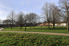 2-Stanley-park