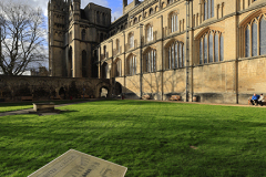 2_24-Cathedral-Trail