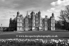 Spring Daffodils, Burghley House,Lincolnshire