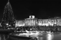 Christmas Tree Illuminations, Trafalgar Square