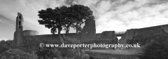 The ruins of Barnard Castle, Barnard Castle Town
