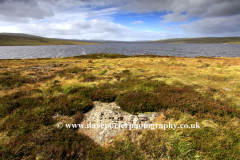 Landscape view over Cow Green Reservoir, Teesdale