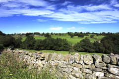 Landscape over Blackton village, Upper Teesdale