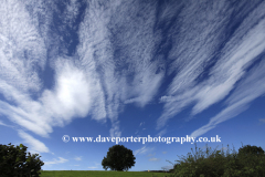 Landscape over Cotherstone Moor, Upper Teesdale