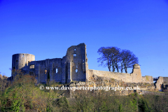 The ruins of Barnard Castle