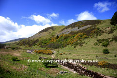 Blackseat Hill, Scald Hill, The Cheviot Hills