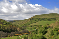 Blackseat Hill, Scald Hill, The Cheviot Hills