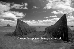 Upturned Herring Boats at Lindisfarne