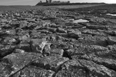 The ruins of Dunstanburgh Castle