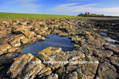 The ruins of Dunstanburgh Castle