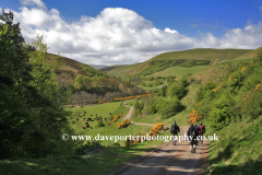 View to the Happy Valley, The Cheviot Hills