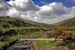 Blackseat Hill, Scald Hill, The Cheviot Hills