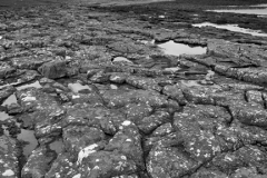 The ruins of Dunstanburgh Castle