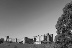 River Aln and Alnwick castle