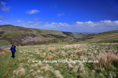 Walker at Blackseat Hill, Scald Hill, Cheviot Hills