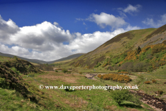 Blackseat Hill, Scald Hill, The Cheviot Hills