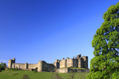 Summer view of Alnwick castle