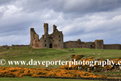 The ruins of Dunstanburgh Castle