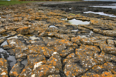 The ruins of Dunstanburgh Castle