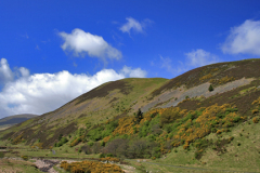 Blackseat Hill, Scald Hill, The Cheviot Hills