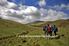 Walkers in the Happy Valley, The Cheviot Hills