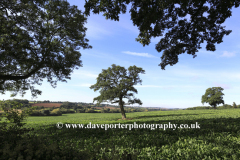Summer view over fields near Ketton village