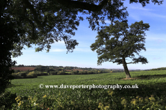Summer view over fields near Ketton village