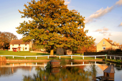 Autumn, Barrowden village pond