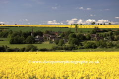 Summer, Oil seed rape fields, Barrowden village