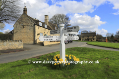 Daffodils, village green at Barrowden village