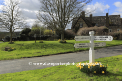 Daffodils, the village green, Barrowden village