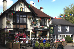 The Mailmans Arms Pub, Lyndhurst town