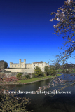 Blossom and lake at Leeds Castle