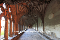 The Cloisters at Canterbury Cathedral