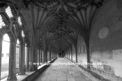 The Cloisters at Canterbury Cathedral
