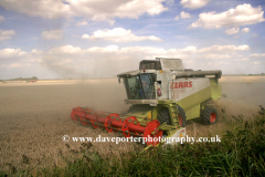 Combine harvester in Fenland fields, Spalding