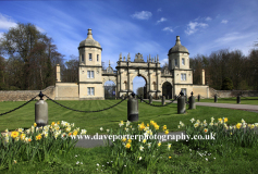 Daffodils at the Bottle Gate, Burghley House