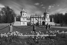 Daffodils, The Bottle Gates, Burghley House